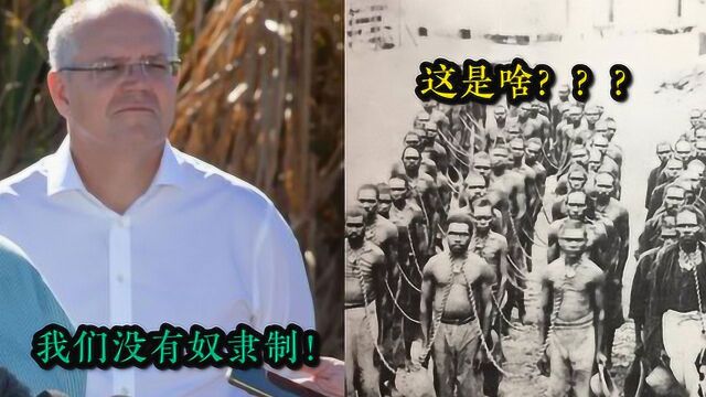 澳总理称“澳大利亚成为殖民地时从无奴隶制” 民众:这些图是啥?