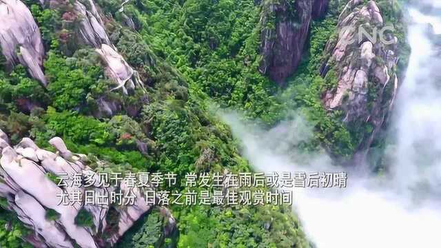 (美丽中国)九华山景区:雨霁初晴云海升