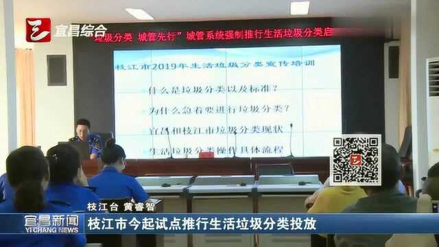 枝江市8月12日起试点推行生活垃圾分类投放