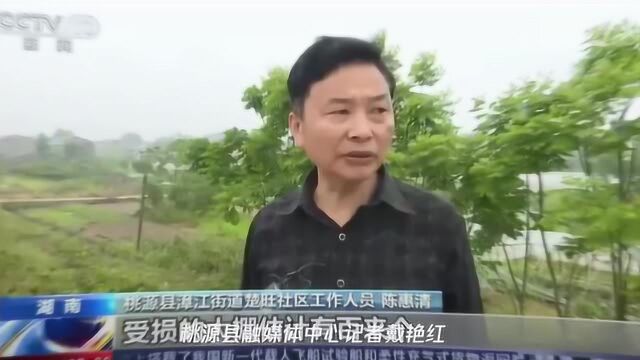 继续领跑!桃源县融媒体中心外宣成绩单