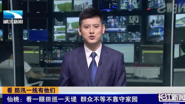 我们自己守!看一眼田巡一天堤,仙桃群众不等不靠守家园