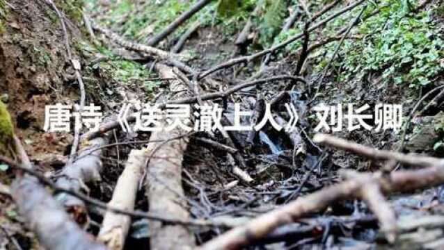 送灵澈上人,苍苍竹林寺,杳杳钟声晚,荷笠带斜阳,青山独归远