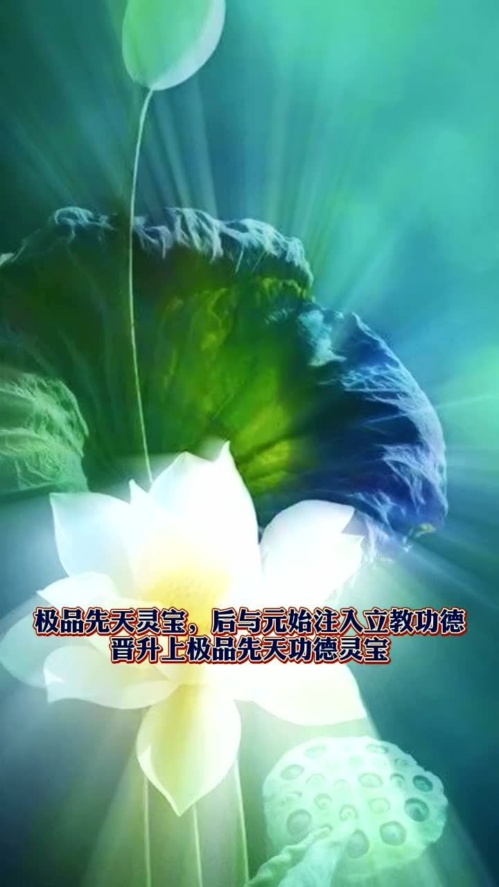 四朵远古神莲净世清莲