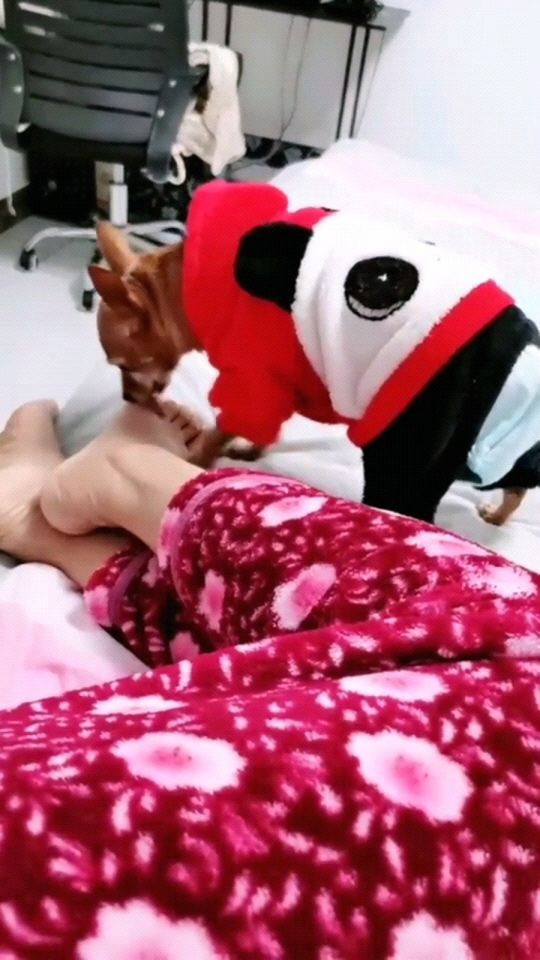 Thumbplayer Poster Plugin Image