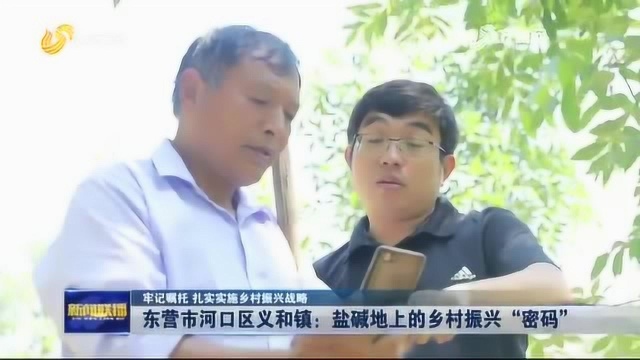 东营市河口区义和镇:盐碱地上的乡村振兴“密码”