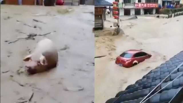 贵州三都县遇强降雨致街道内涝严重 街头汽车被冲走