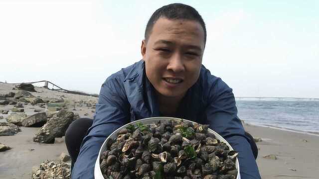 再次登录无人岛 海螺辣螺遍地都是 视频见分晓