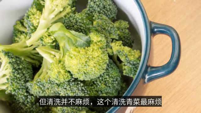 青菜中的虫子不容易洗出来?不要着急!这里有3个生活实用小妙招