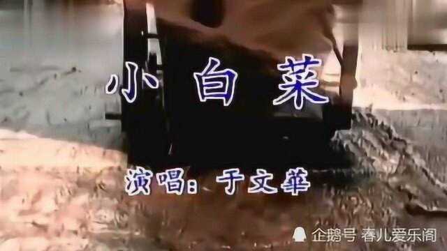 于文华演唱《小白菜》,两三岁呀!没了娘呀!好感人,听哭了