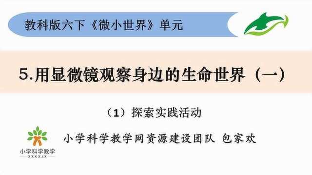 教科版小学科学网课:六下15《用显微镜观察身边的生命世界(一)》