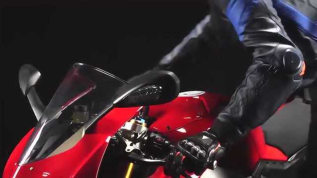 丹尼斯Dainese SUPER RACE皮夹克