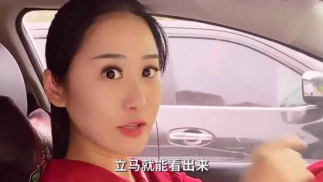 买车之前了解这五个步骤,学会试驾,轻松买到适合自己的车