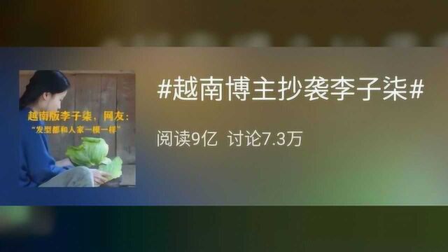 李子柒遭越南博主 “高仿”,“抄袭” 的英文怎么说