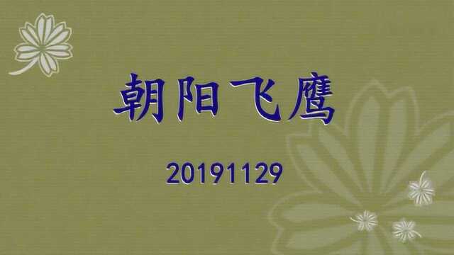 朝阳飞鹰20191129五只鹰同框齐飞