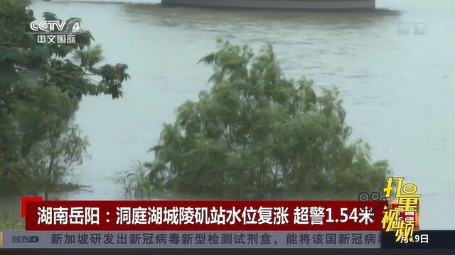 湖南岳阳:洞庭湖城陵矶站水位复涨,超警1.54米|央视网