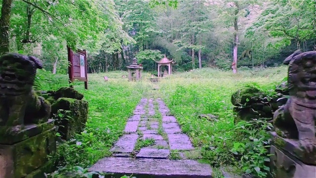 千山碧透铺云锦,万岭染芳茵