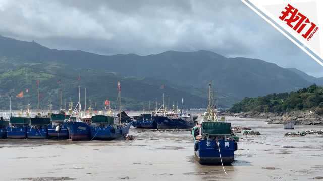 台风“黑格比”逼近浙江沿海 苍南千艘渔船回港避风