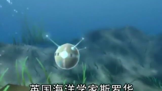 海洋世界:海流的特点