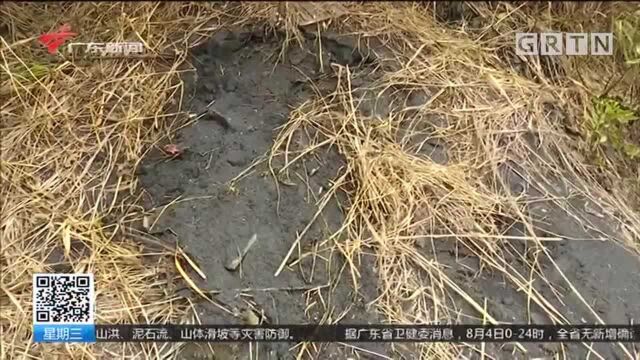 佛山 污染环境被关停 工厂遗留大量有害废料无人管?