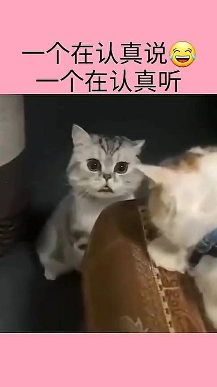 你俩交头接耳说啥呢是怕我听见吗