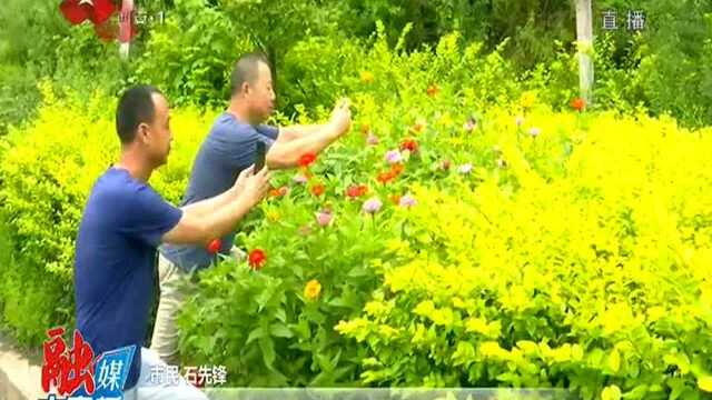 打造最靓公路 推进“四好农村路”建设