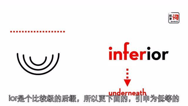 8.13捡单词inferior3