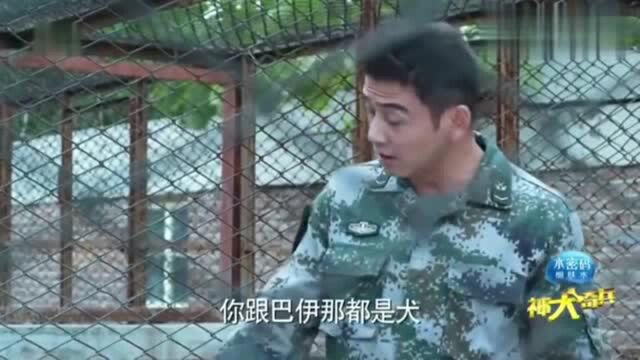 神犬奇兵郭有栋继续跟步枪沟通,却被连长说成“你也是犬呀”