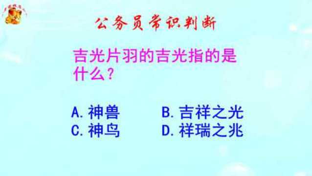 公务员常识判断,吉光片羽的吉光指的是什么?正确率不高哦