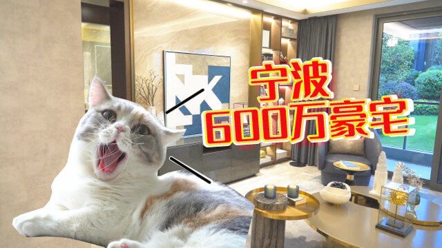 为了养猫买下600万豪宅,带2000㎡会所房子长啥样?