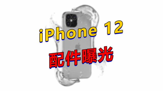 iPhone 12保护壳曝光:iPhone 4 直角设计