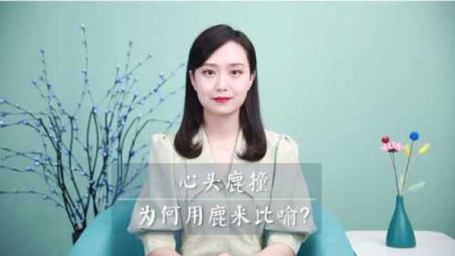 心头小鹿乱撞,为什么要用鹿来比喻呢?