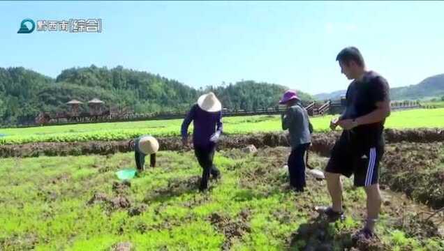 金盾影视文化小镇项目外景拍摄地9月底将全面竣工