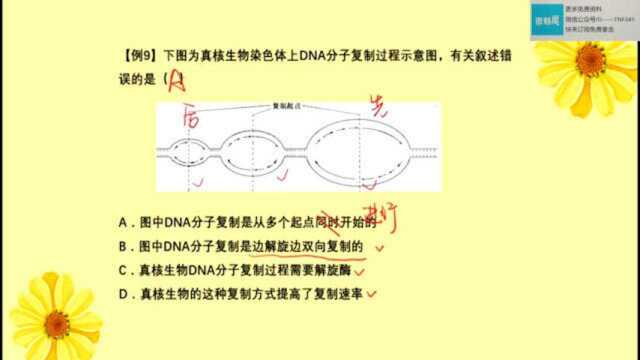 精选高中生物授课视频——DNA结构与复制