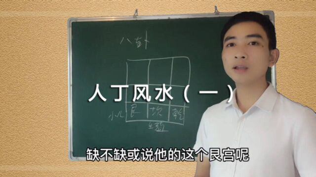 办公室大门口风水,鱼缸水位高度风水,绿化影响风水