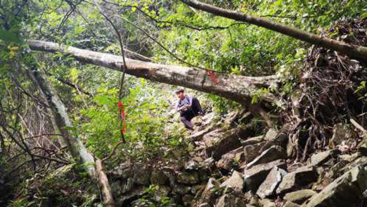 探秘福建第一天池,途中发现大片古火山森林,枝繁叶茂犹如热带雨林