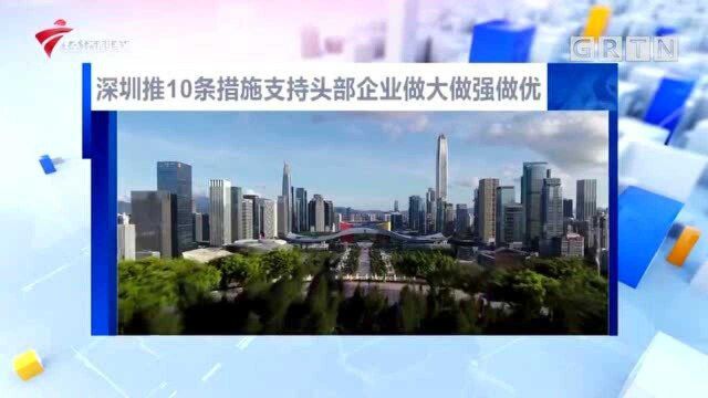 深圳推10条措施支持头部企业做大做强做优