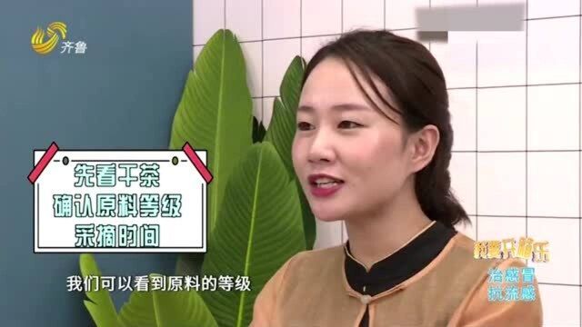 如何挑选绿茶?同一地点采摘 时间不同会影响茶叶价格 越早采价更高