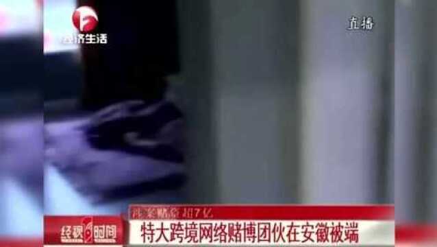 涉案赌资超7亿!特大跨境网络赌博团伙在安徽被端