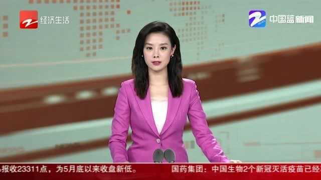 杭州武林洋淘开幕 在家门口赶中国集买国际货