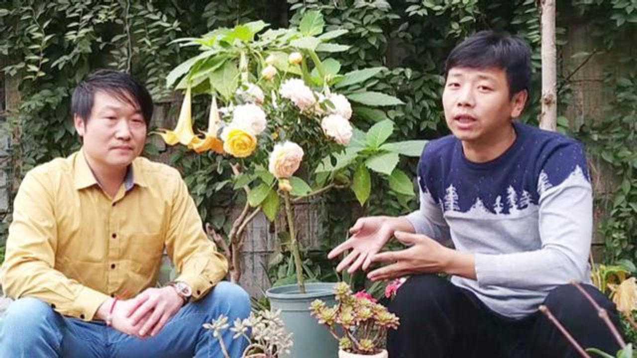 小齐和好友马可教大家养花养花中遇到的问题可以视频解答