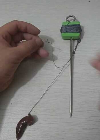 买点猪肝,自己做点鱼钩,甲鱼就会找你!