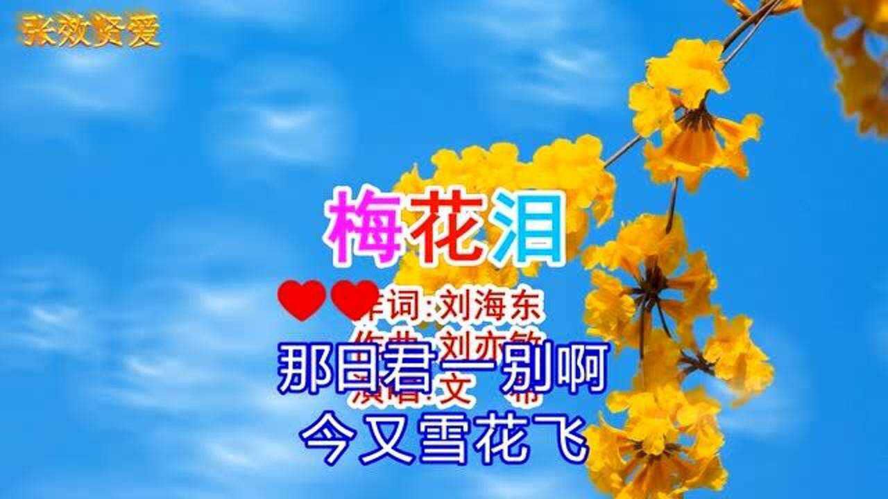 文希演唱梅花泪谁说梅花没有泪只是冰雪还未寒透梅花蕊