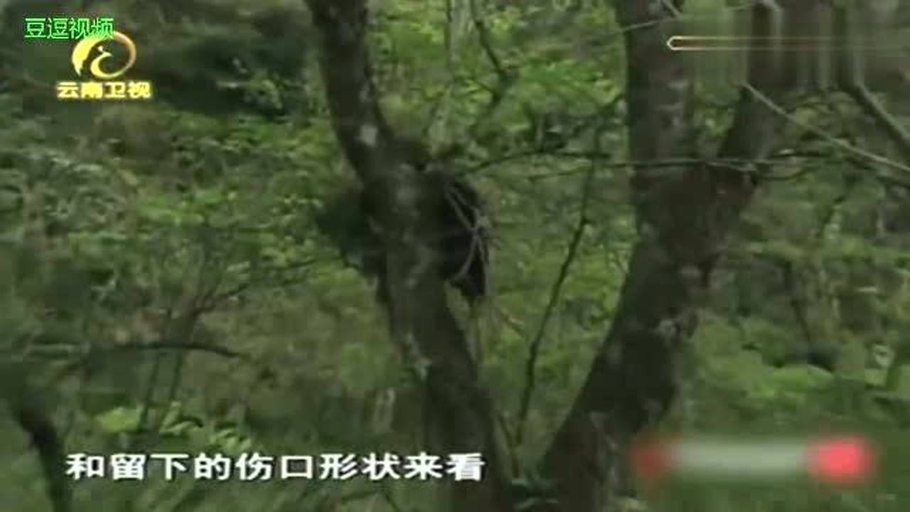 ֮ͼƬ_ź ˽ Ըһ ͼƬ_ѽ