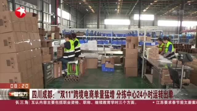 四川成都:“双11”跨境电商单量猛增 分拣中心24小时运转出单