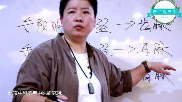 董氏奇穴:上白,中白,下白都有什么作用?刘红云如何讲解