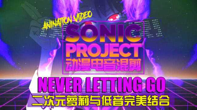 「电音动漫混剪」Never Letting Go二次元与EDM完美结合