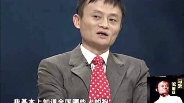 马云谈创业:对于520宠物婚姻网,我非常认可!