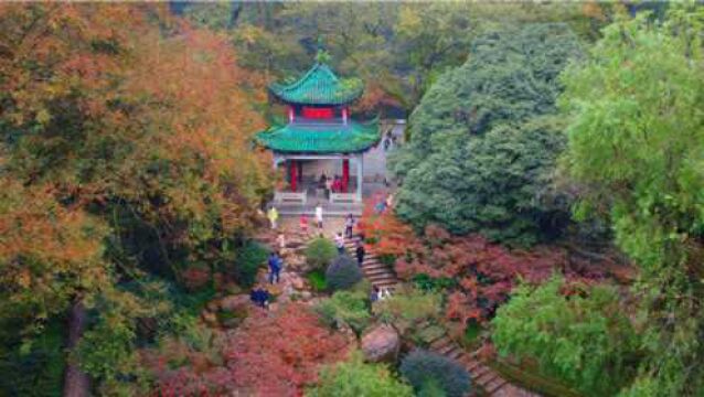 风雾中航拍岳麓山风景区