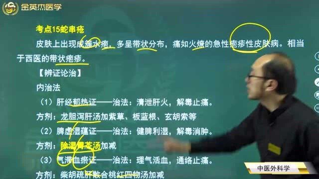 中医外科学:什么是蛇串疮你知道了吗?蛇串疮的特点和中医治疗都在这里了.