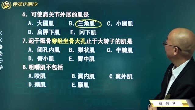 临床解剖学肌学:膈肌收缩特点